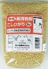 玄米　岩船こしひかり